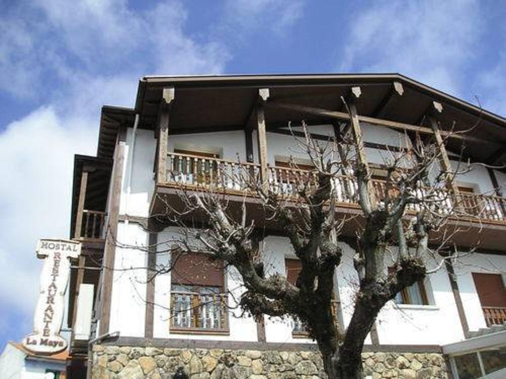 Hostal La Maya セルセディリャ エクステリア 写真